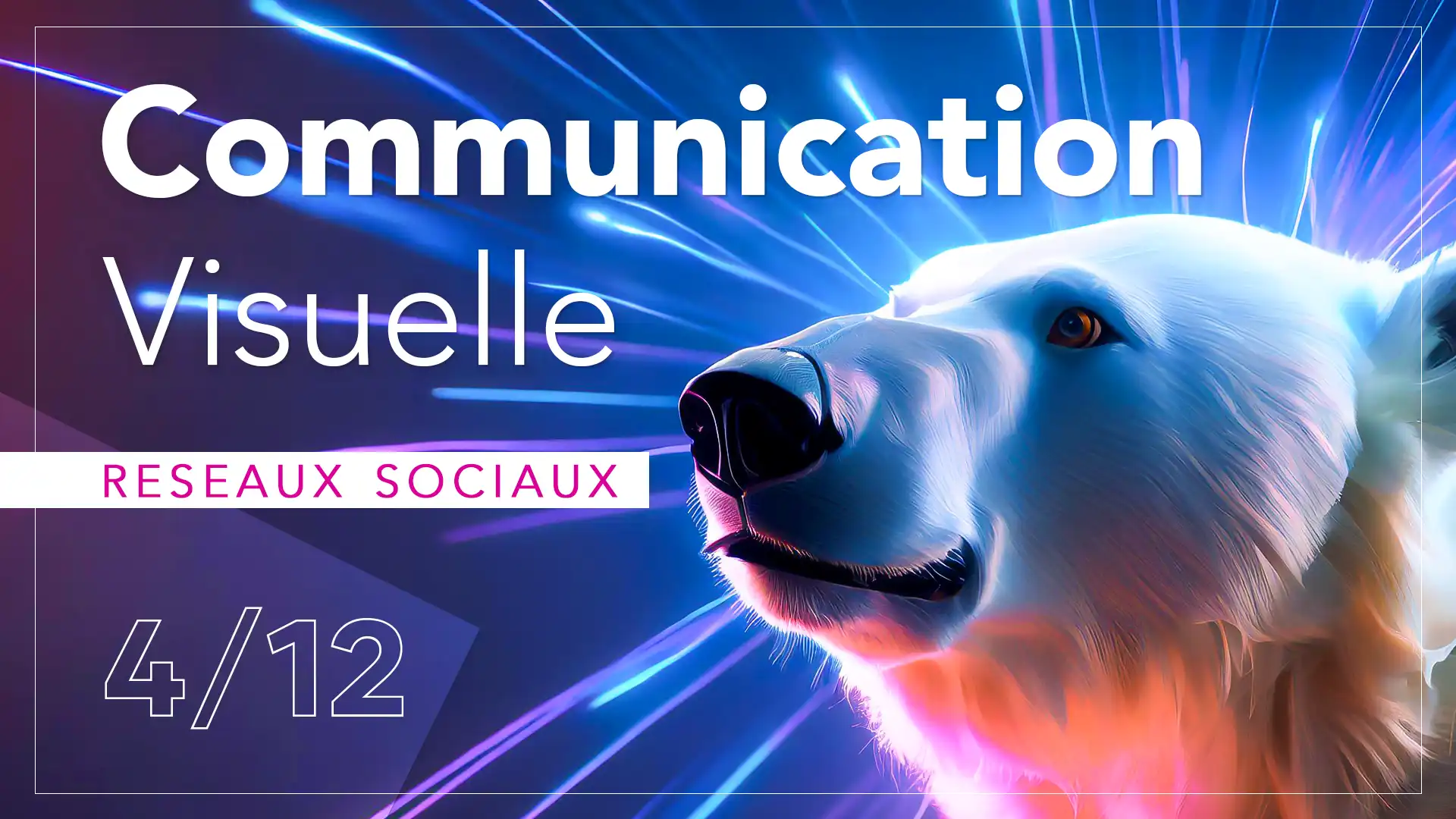 Imagisto - Article de blog 4/12 - Impact de la communication visuelle sur les réseaux sociaux : Un ours pour renforcer l'image de votre marque.