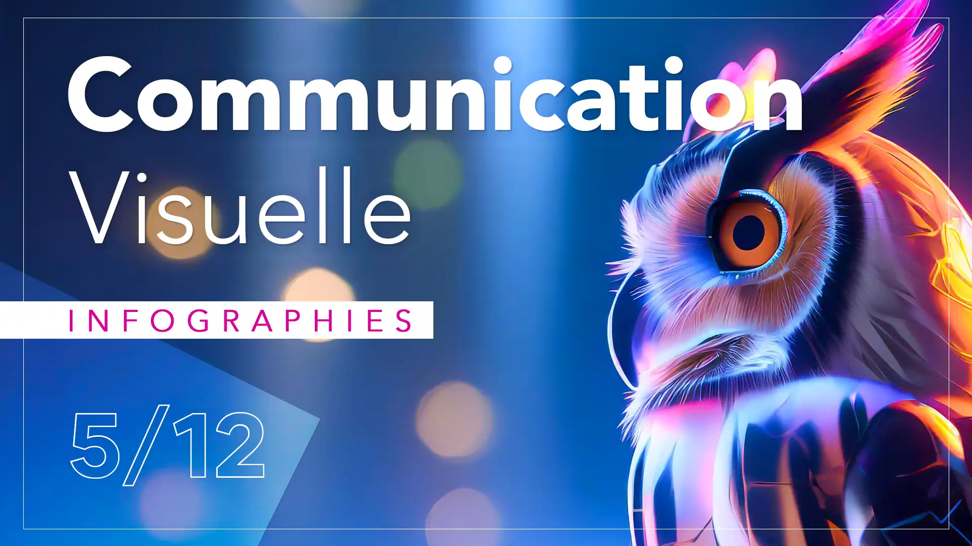 Imagisto - Article de blog 5/12 - Captiver avec des infographies et des visuels percutants : Un hibou comme symbole de clairvoyance.