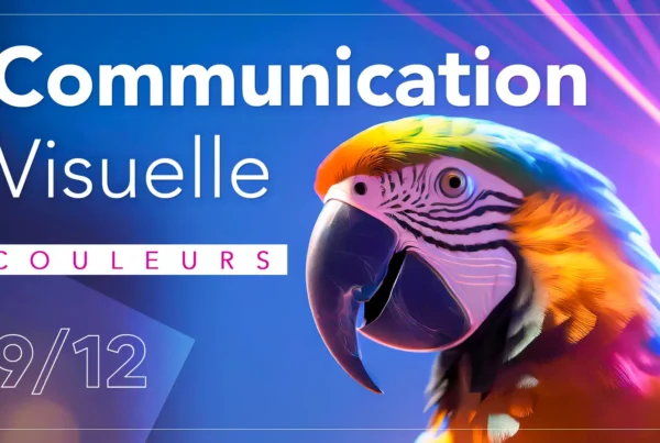Imagisto - Article de blog 9/12 - La psychologie des couleurs en communication visuelle: Un perroquet pour illustrer l'impact des couleurs.