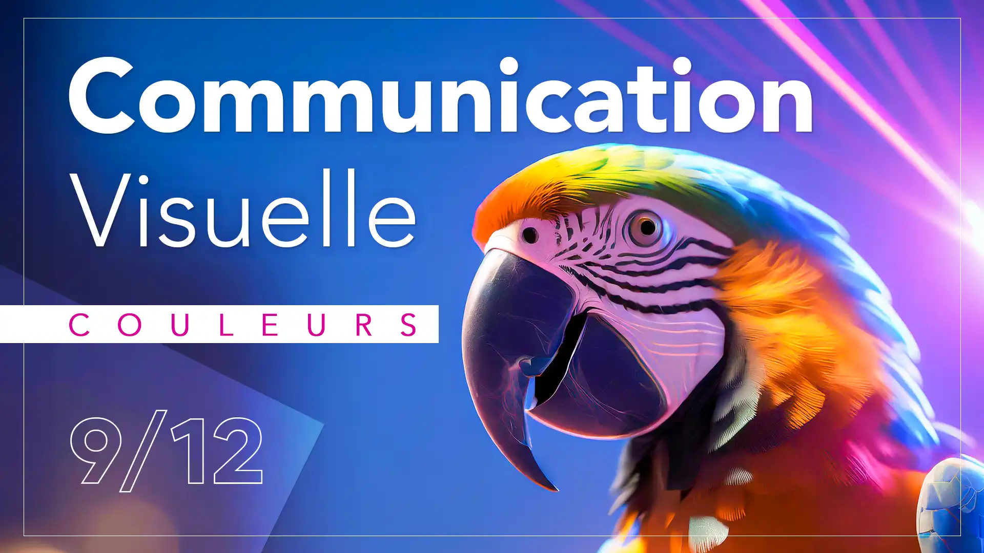 Imagisto - Article de blog 9/12 - La psychologie des couleurs en communication visuelle: Un perroquet pour illustrer l'impact des couleurs.