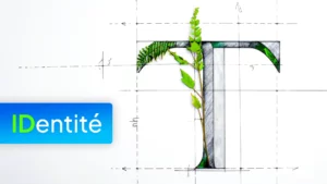 Le Branding écoresponsable pour les TPE et PME : définir une identité visuelle engagée.